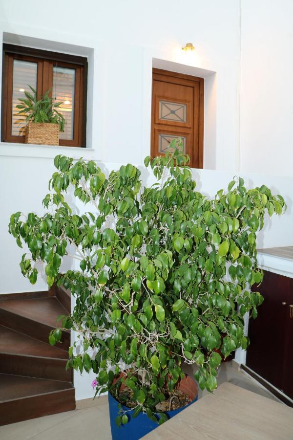 Angelica'S Deluxe Rooms In Adamas 外观 照片